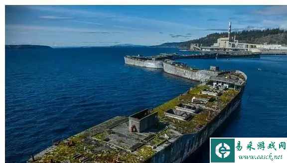 蟒蛇误吞了拖鞋？这27张“活久见”照片令人大涨姿势