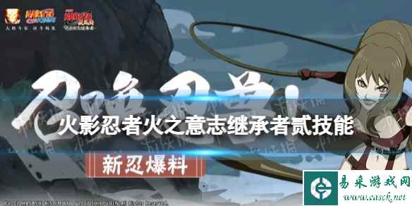 网1