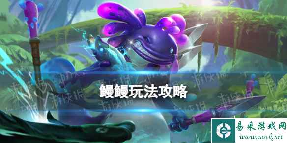 网1
