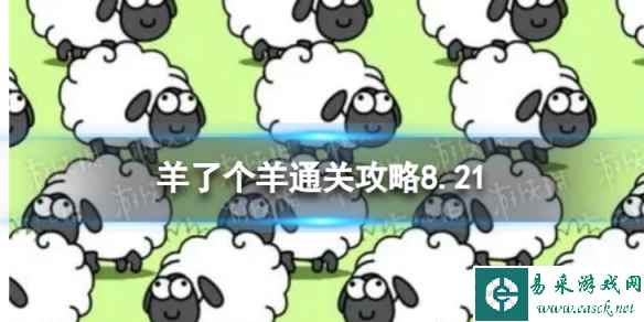 网1