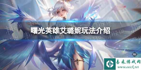 网1