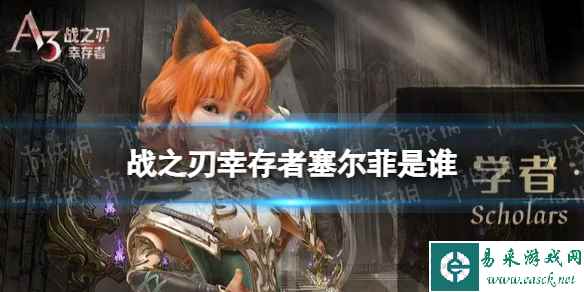 网1