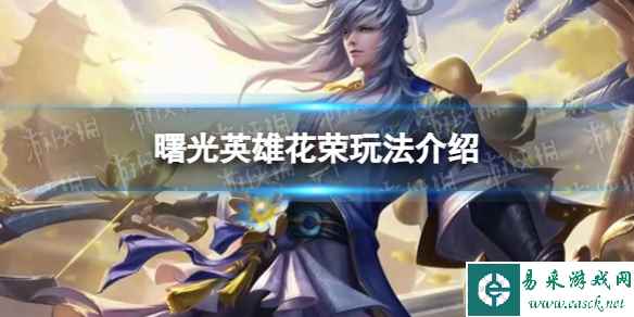 网1