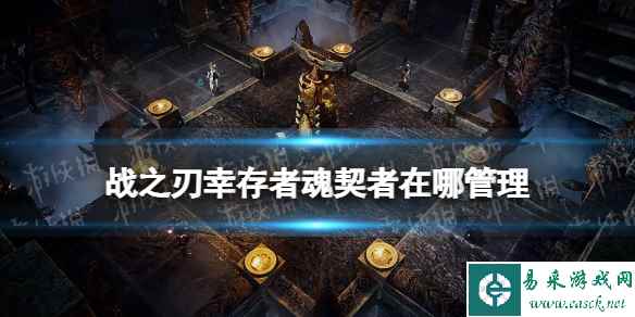网1