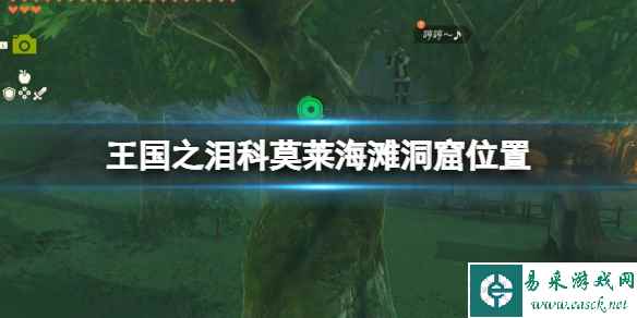 《塞尔达传说王国之泪》科莫莱海滩洞窟在哪?