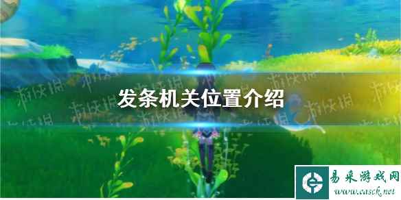 网1