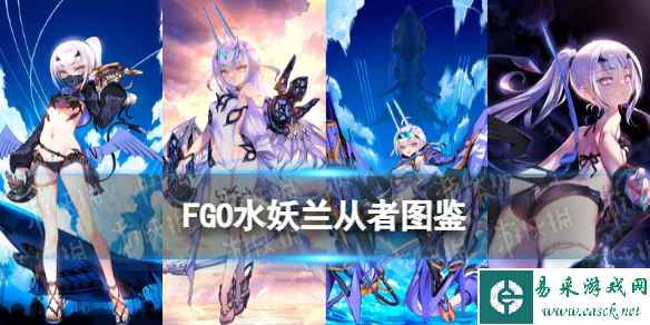 网1