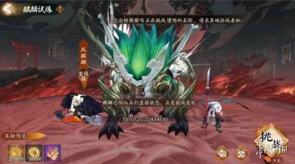 网8