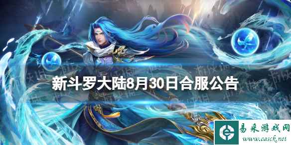 网1