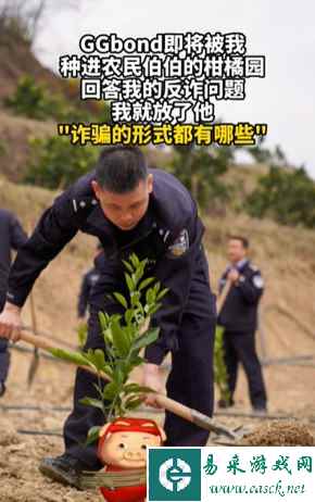 网4