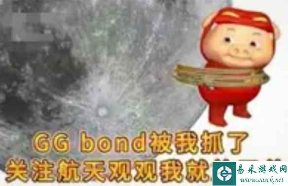 网2