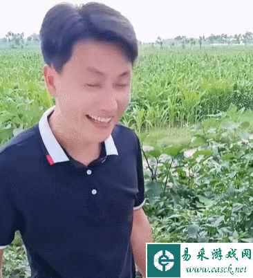 易采游戏网