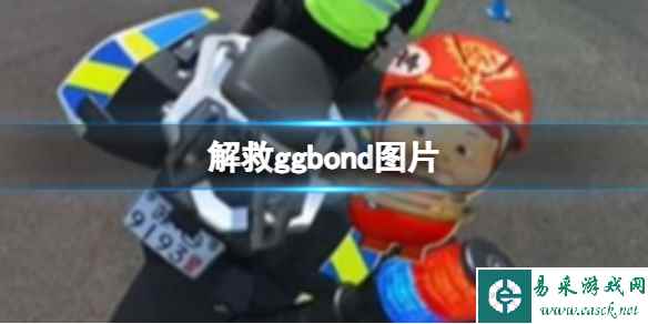 网1