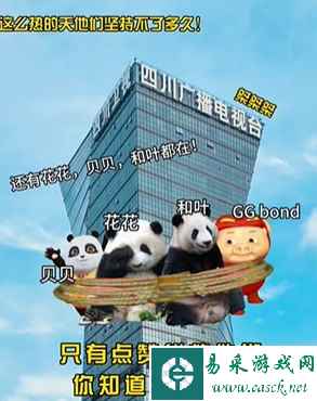 网5