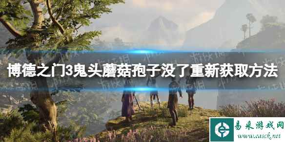《博德之门3》鬼头蘑菇孢子没了怎么办? 鬼头蘑菇孢子没了重新获取方法
