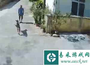 手感Q弹总感觉会捏爆 动图 开抽屉还得先玩解谜游戏