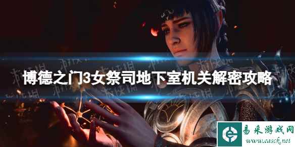 《博德之门3》女祭司地下室机关解密攻略 女祭司地下室机关怎么过?