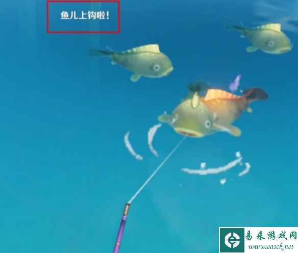 网5