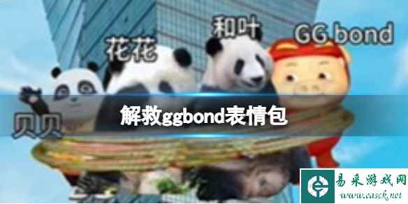 死猪表情包 解救ggbond表情包分享