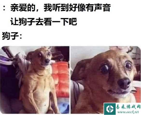 兄弟你的安全气囊有点特色 囧图 跑完团全员糖尿病