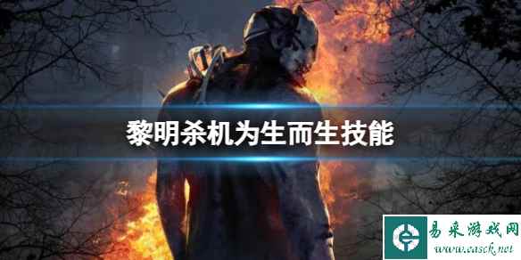 《黎明杀机》为生而生技能介绍