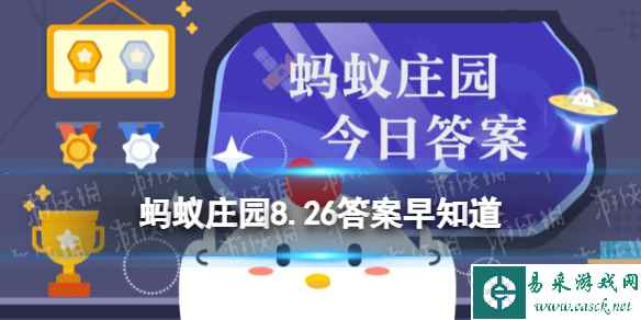 网1