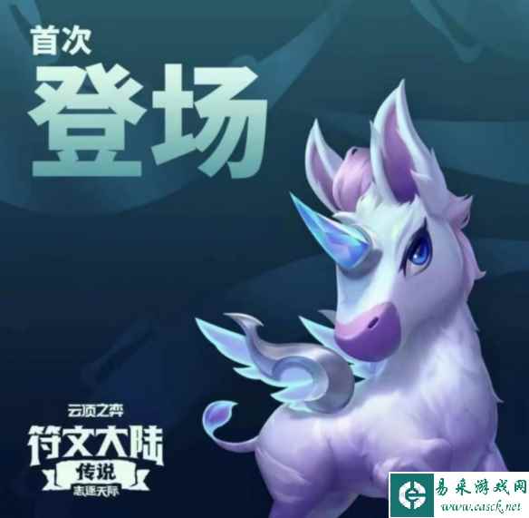 网5