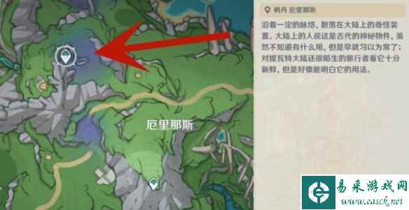 网13