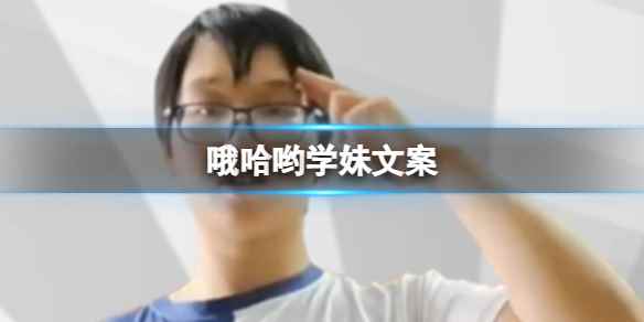 网1