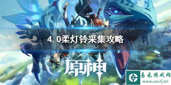 网1