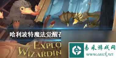 哈利波特魔法觉醒召唤流卡组怎么组？哈利波特魔法觉醒内容分享