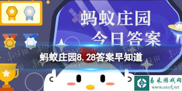 网1