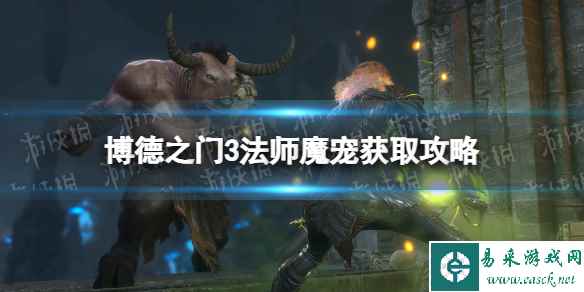 《博德之门3》法师魔宠在哪获得? 法师魔宠获取攻略