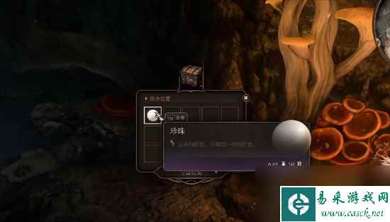 博德之门3鱼人村在哪里 鱼人村宝箱位置分享