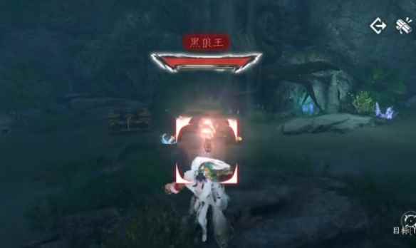 网5
