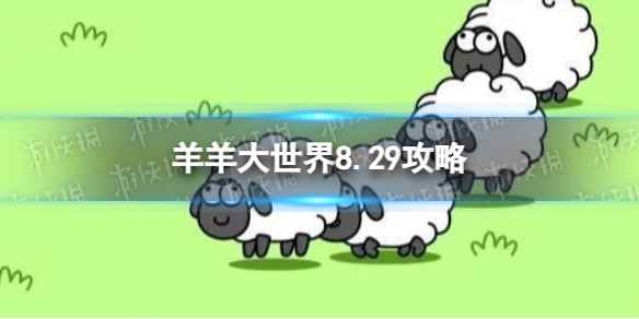 网1