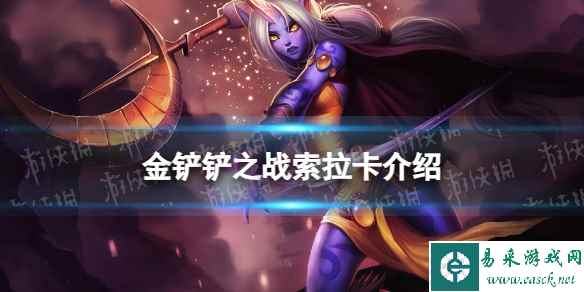 网1
