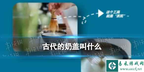 网1