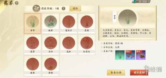 网4