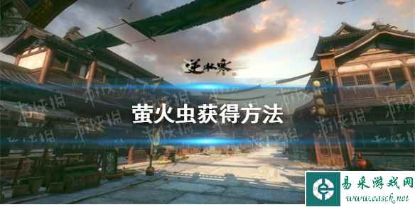 网1