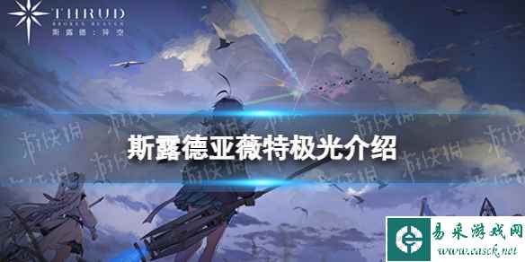 网1