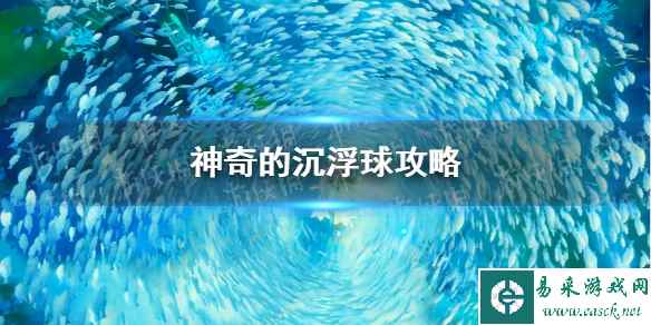 网1