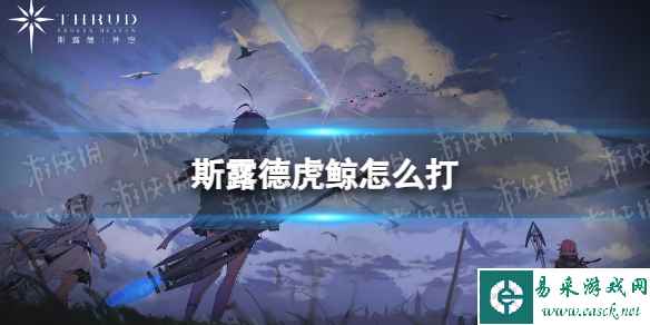 网1