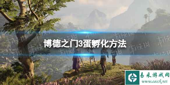 《博德之门3》蛋怎么孵化? 蛋孵化方法
