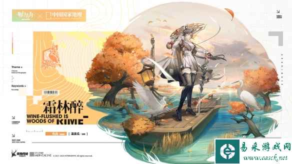 网2