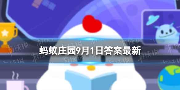 网1