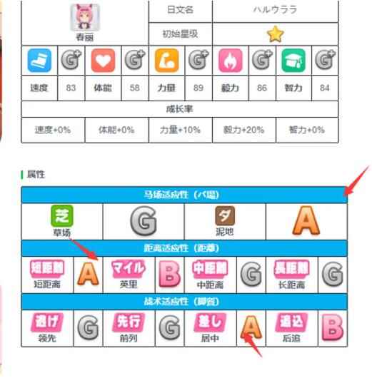 网8