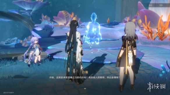 网11