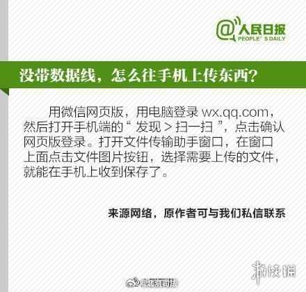 网11