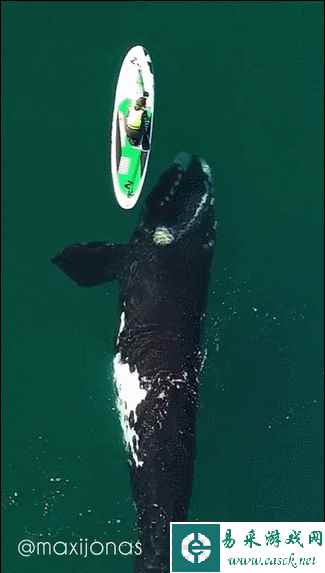 当你看到女朋友洗完澡躺在床上 动图 这居然是道具赛？